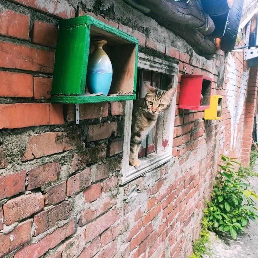 M Hostel貓客棧-清交大藝術眷村客棧 Hsinchu City Exterior photo